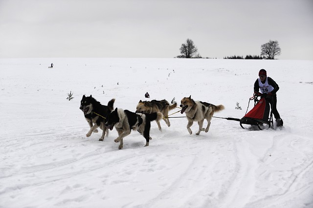 Kynologická revue - www.dogsk.sk