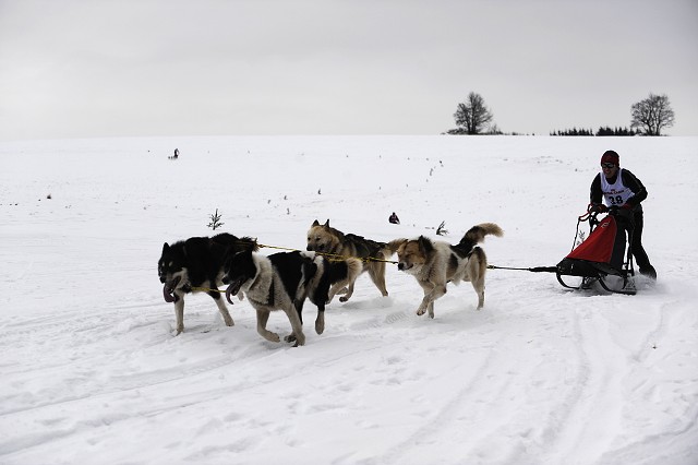 Kynologická revue - www.dogsk.sk