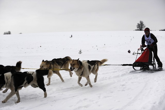 Kynologická revue - www.dogsk.sk
