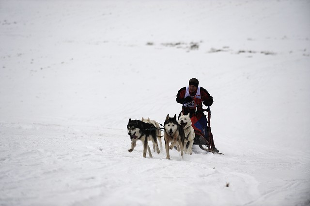 Kynologická revue - www.dogsk.sk