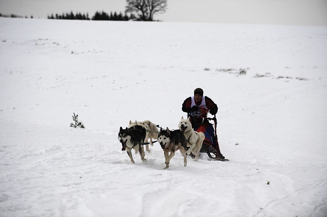 Kynologická revue - www.dogsk.sk