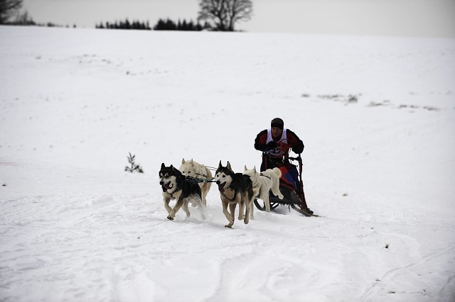 Kynologická revue - www.dogsk.sk