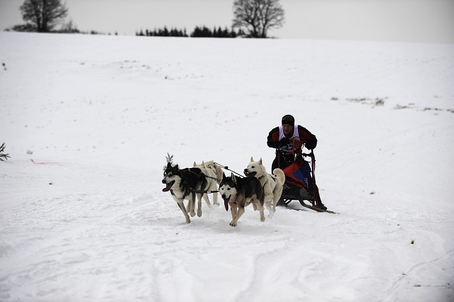 Kynologická revue - www.dogsk.sk