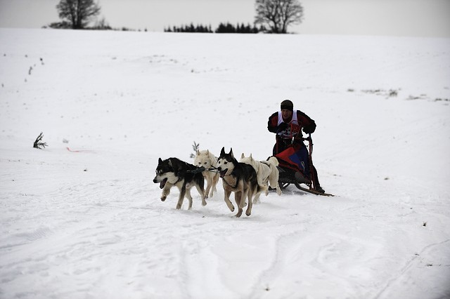 Kynologická revue - www.dogsk.sk