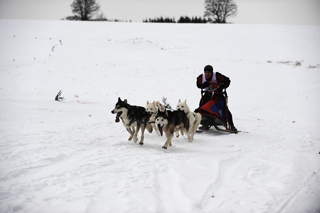 Kynologická revue - www.dogsk.sk