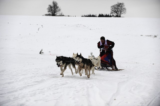 Kynologická revue - www.dogsk.sk