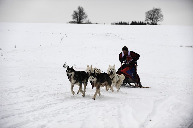 Kynologická revue - www.dogsk.sk