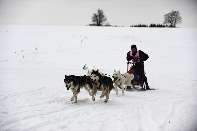 Kynologická revue - www.dogsk.sk