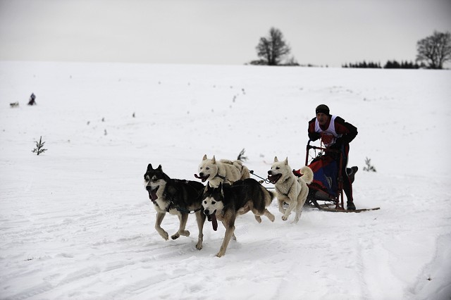 Kynologická revue - www.dogsk.sk