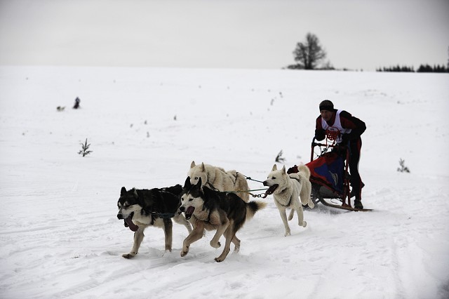 Kynologická revue - www.dogsk.sk