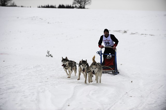 Kynologická revue - www.dogsk.sk