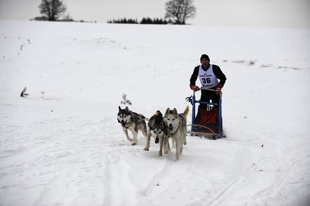 Kynologická revue - www.dogsk.sk