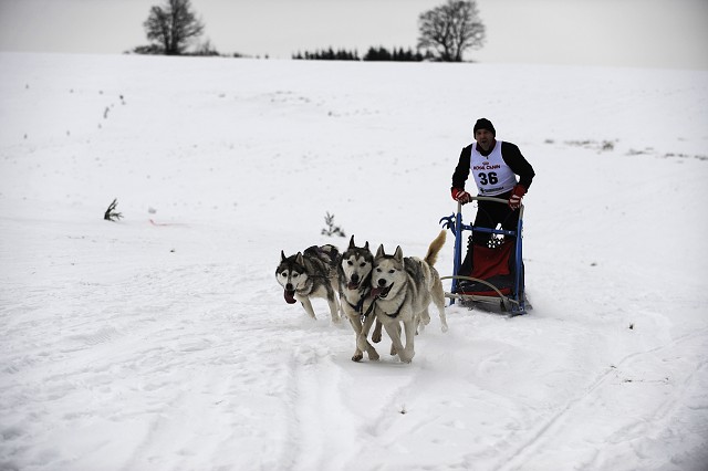 Kynologická revue - www.dogsk.sk