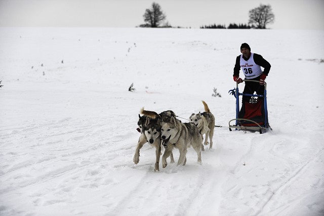 Kynologická revue - www.dogsk.sk