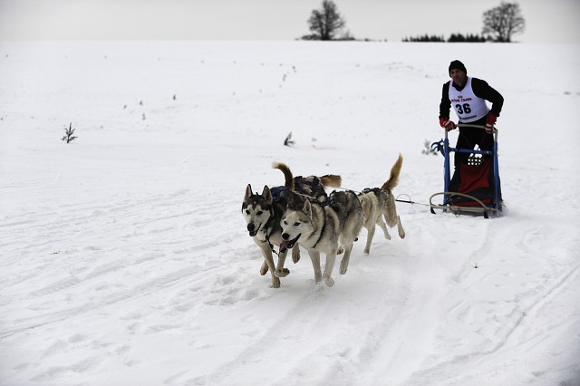 Kynologická revue - www.dogsk.sk