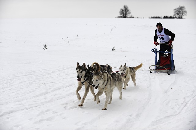 Kynologická revue - www.dogsk.sk