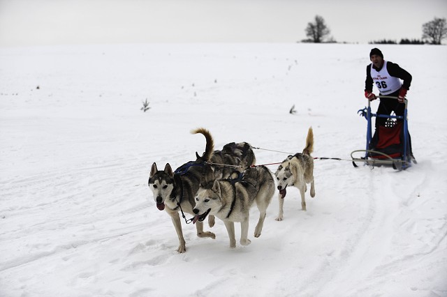 Kynologická revue - www.dogsk.sk