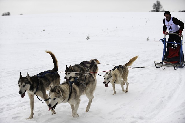 Kynologická revue - www.dogsk.sk