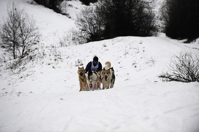 Kynologická revue - www.dogsk.sk