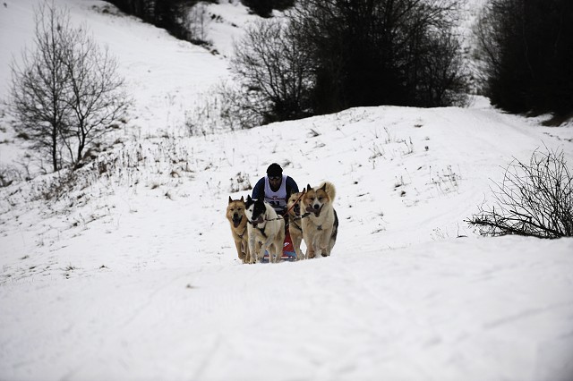 Kynologická revue - www.dogsk.sk