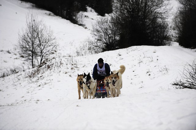 Kynologická revue - www.dogsk.sk