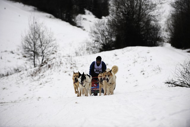 Kynologická revue - www.dogsk.sk