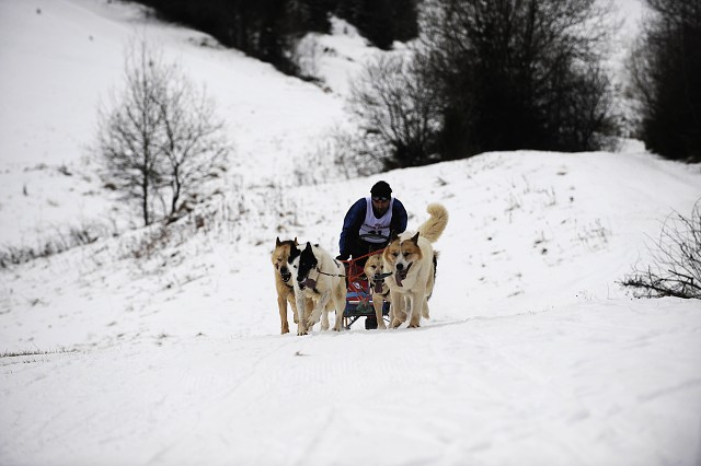 Kynologická revue - www.dogsk.sk