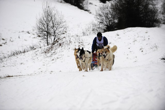 Kynologická revue - www.dogsk.sk