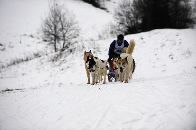 Kynologická revue - www.dogsk.sk