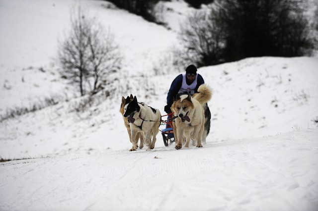 Kynologická revue - www.dogsk.sk