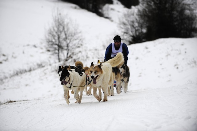 Kynologická revue - www.dogsk.sk