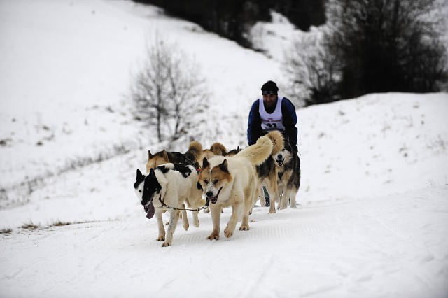 Kynologická revue - www.dogsk.sk