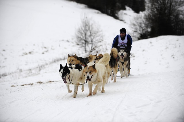 Kynologická revue - www.dogsk.sk