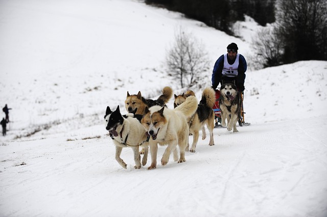 Kynologická revue - www.dogsk.sk