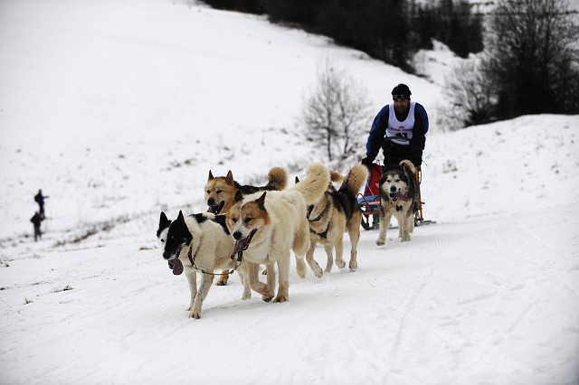 Kynologická revue - www.dogsk.sk