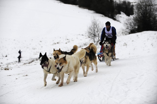 Kynologická revue - www.dogsk.sk