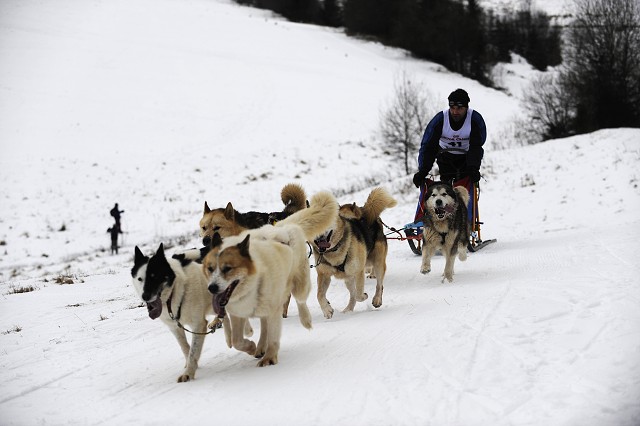 Kynologická revue - www.dogsk.sk