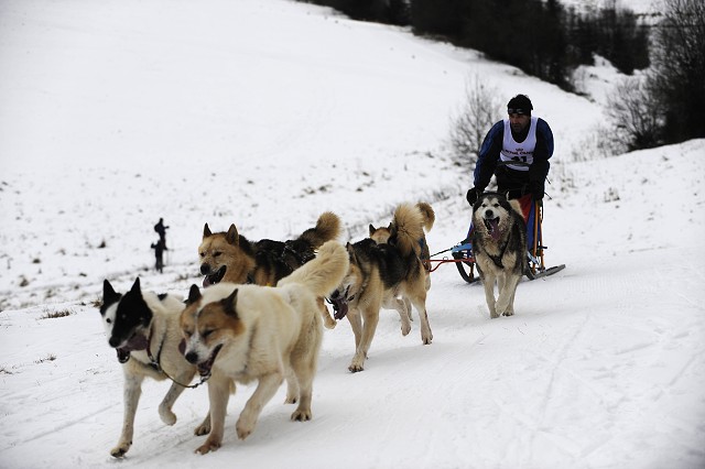 Kynologická revue - www.dogsk.sk