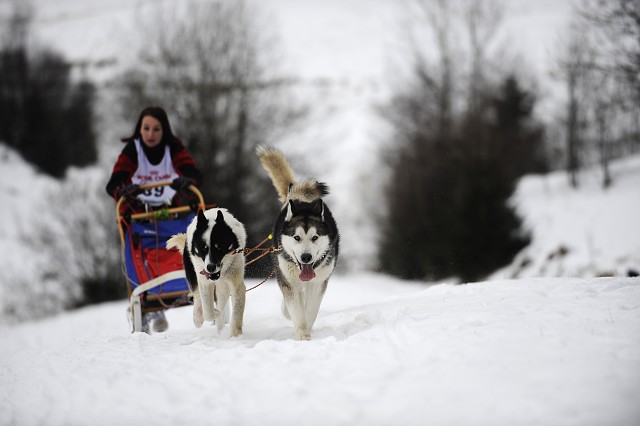 Kynologická revue - www.dogsk.sk