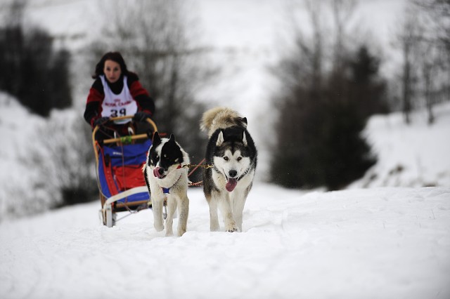 Kynologická revue - www.dogsk.sk