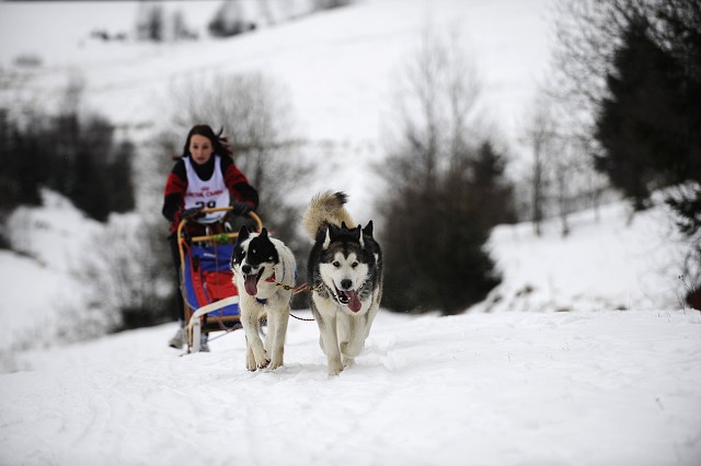 Kynologická revue - www.dogsk.sk