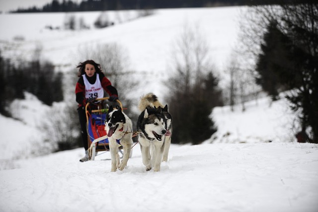 Kynologická revue - www.dogsk.sk