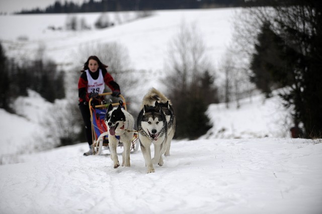 Kynologická revue - www.dogsk.sk
