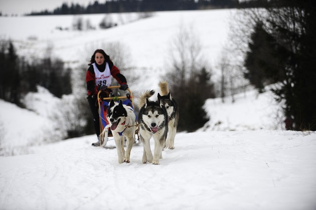 Kynologická revue - www.dogsk.sk