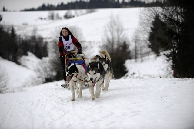 Kynologická revue - www.dogsk.sk