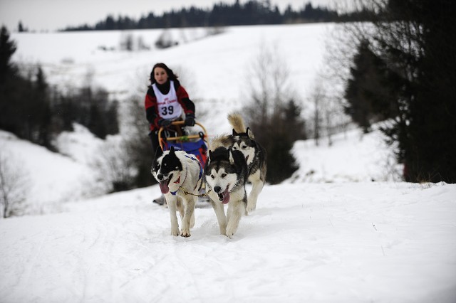 Kynologická revue - www.dogsk.sk