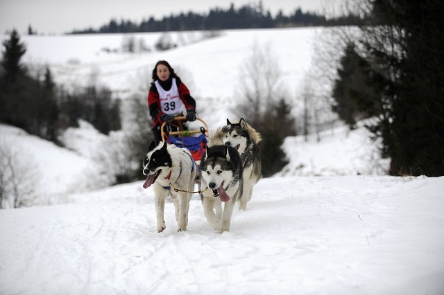 Kynologická revue - www.dogsk.sk