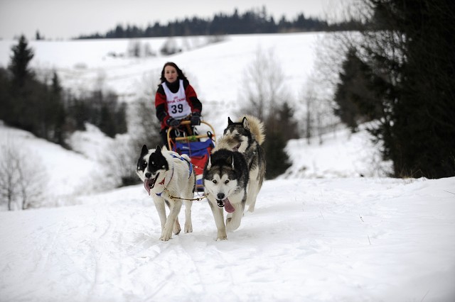 Kynologická revue - www.dogsk.sk