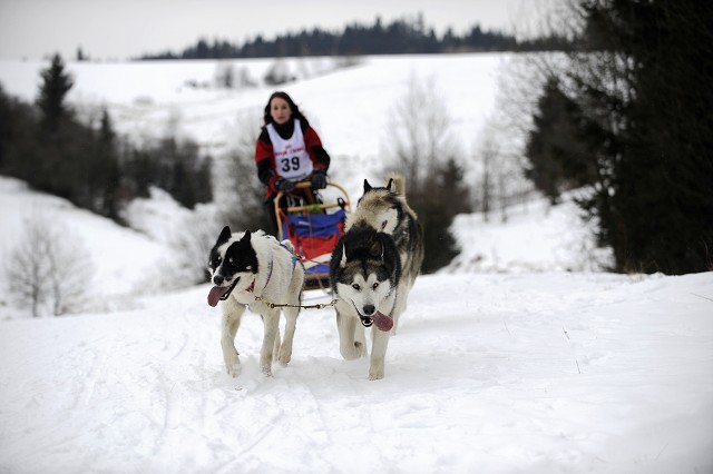 Kynologická revue - www.dogsk.sk