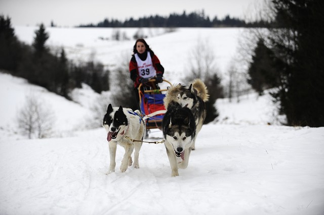 Kynologická revue - www.dogsk.sk